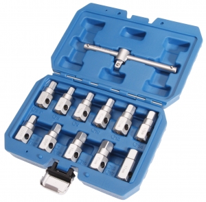 12tlg-lablassschrauben-Set-ldienstschlssel